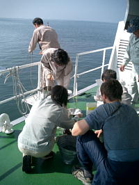 Photo: photo[3]